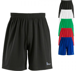 sols-teamsport-basic-shorts-borussia-lt90102