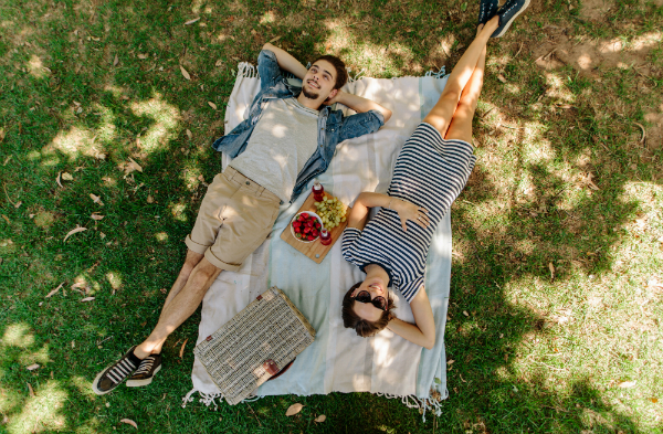 Paerchen entspannt bei Picknick im Park