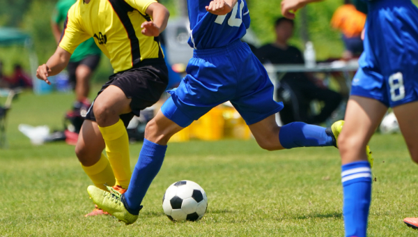 Fussballsocken fuer Profis und Amateure