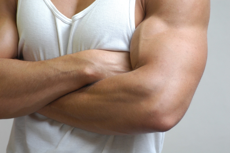 Muscle Shirts