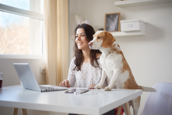 home-office-look-laptop