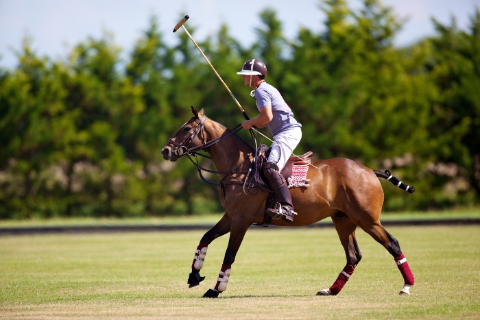 damenpolos-fuer-den-sommer-pferdesport