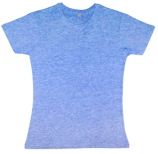 nakedshirt Nancy Womens Favourite T-Shirt