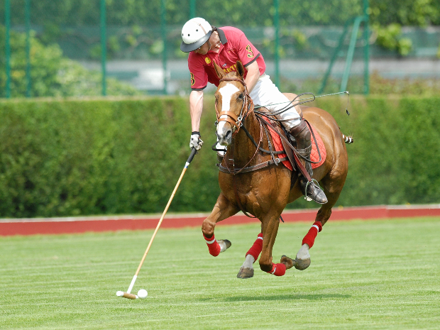 Polo Spieler mit Polohemd