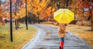 Welcher Regenschirm ist fuer mich geeignet