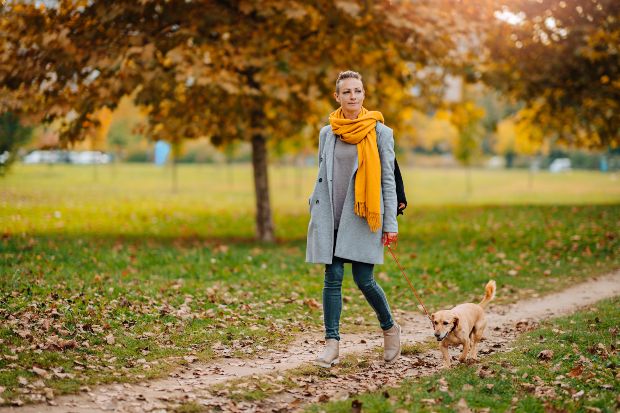 Junge Frau führt ihren Hund im Park spazieren - legere Kleidung 