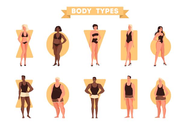 Körpertypen, Grafik, verschiedene Bodytypes