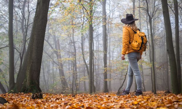 Junge Frau wandert mit Rucksack im herbstlichen Wald - Wandern im Herbst