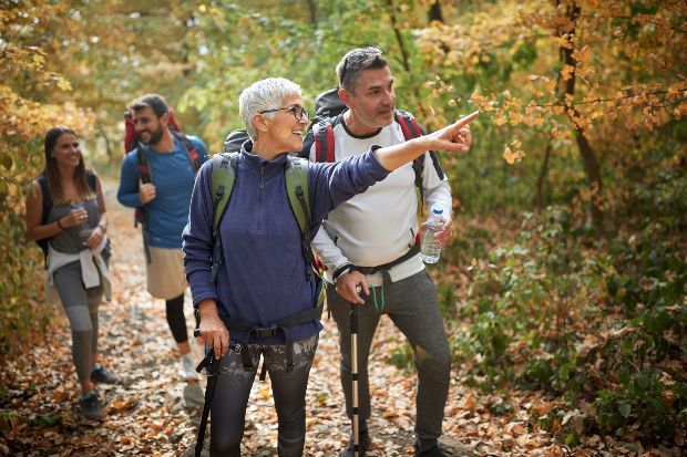 4 Leute wandern im herbstlichen Wald - Wandern im Herbst