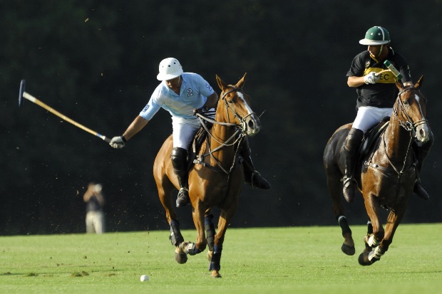 2 Polo-Sportler - Weißes Poloshirt für Herren