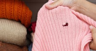 Mottenloch-im-Pullover - Kleidermottten bekämpfen : So erkennt man Motten und wird sie wieder los
