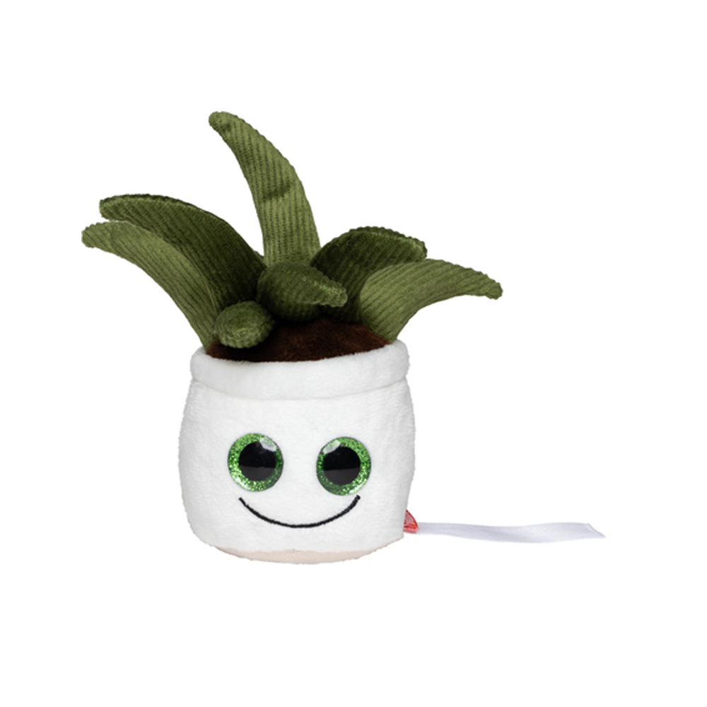 MBW160847 Mbw Schmoozies® Evergreenies® Aloe Vera